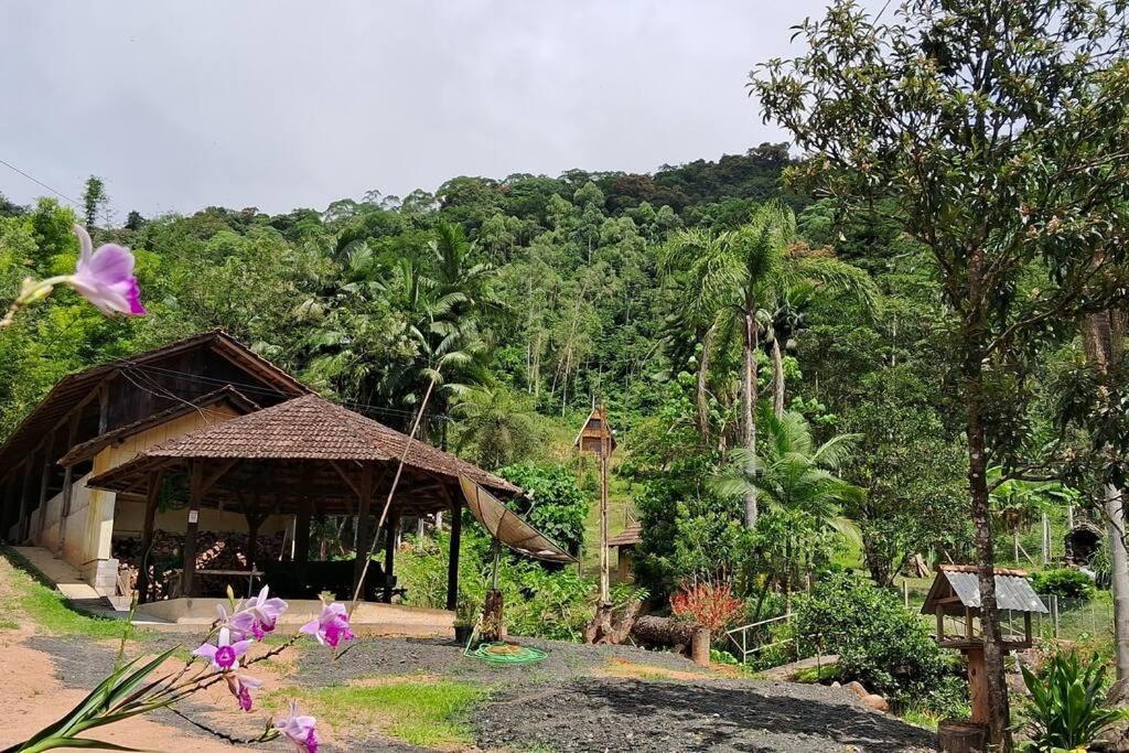 Sitio Som Das Aguas Benedito Novo Bagian luar foto