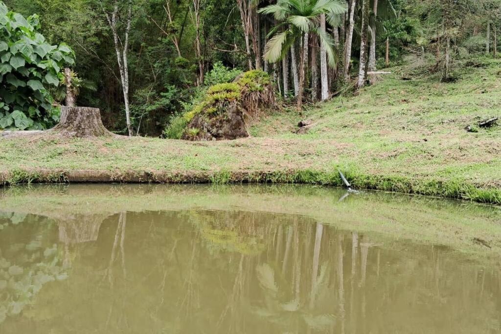 Sitio Som Das Aguas Benedito Novo Bagian luar foto