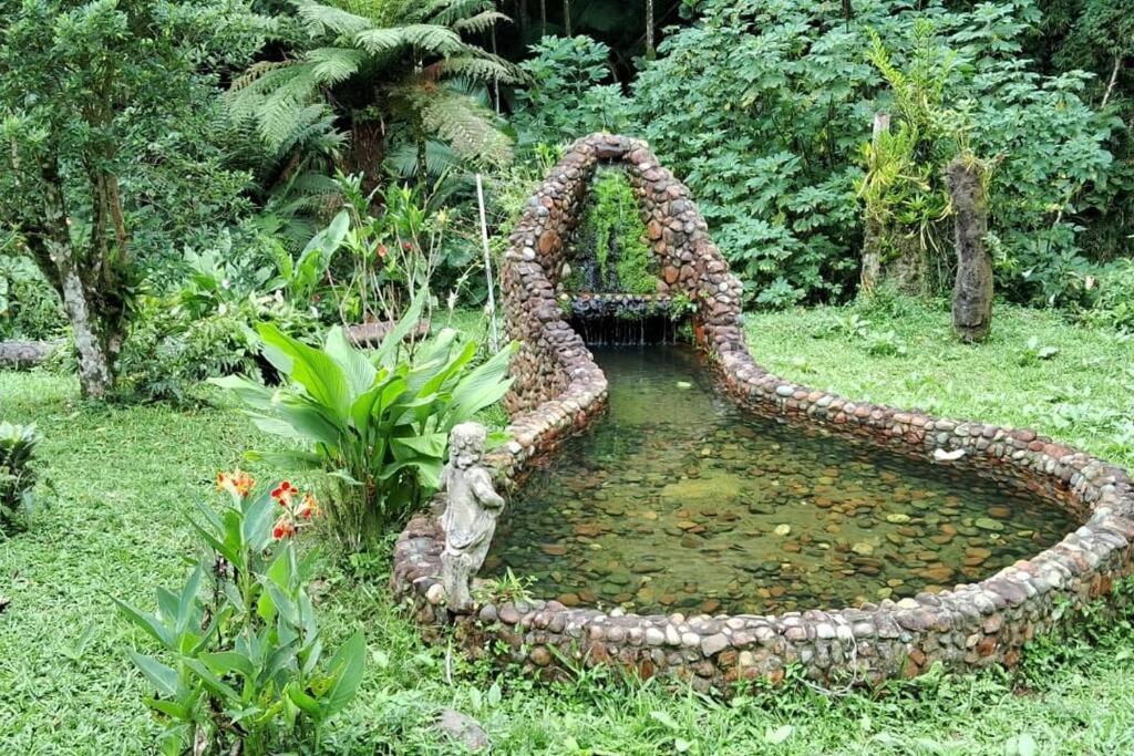 Sitio Som Das Aguas Benedito Novo Bagian luar foto