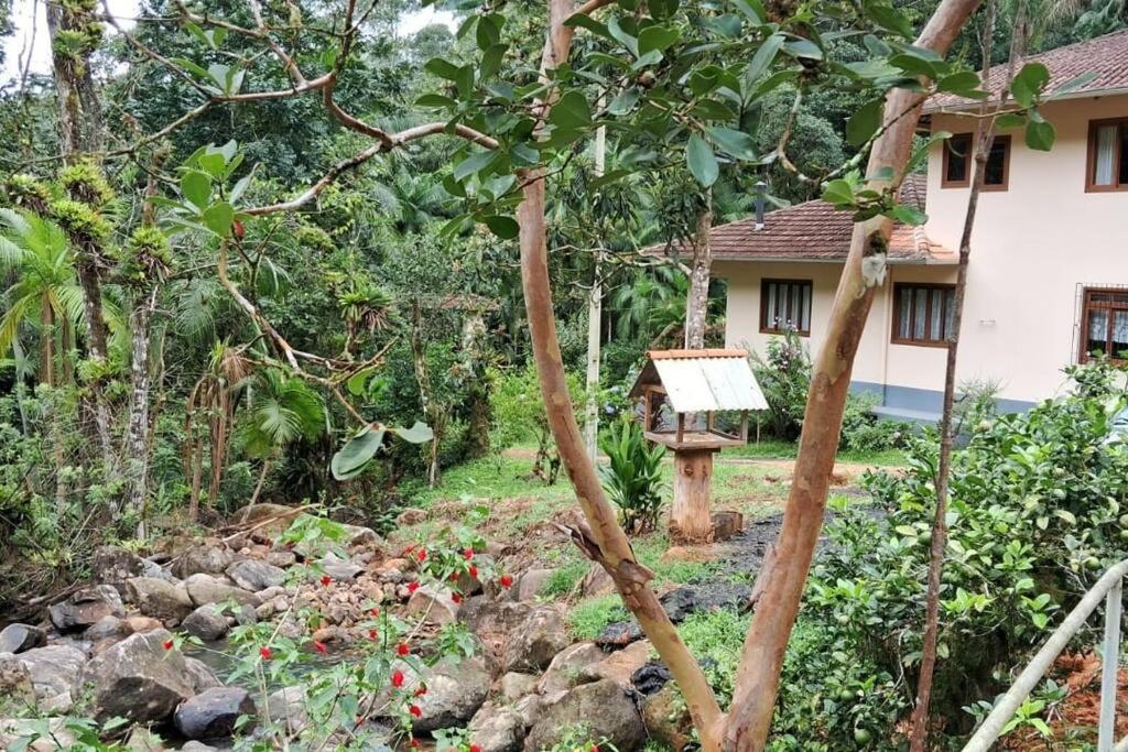 Sitio Som Das Aguas Benedito Novo Bagian luar foto