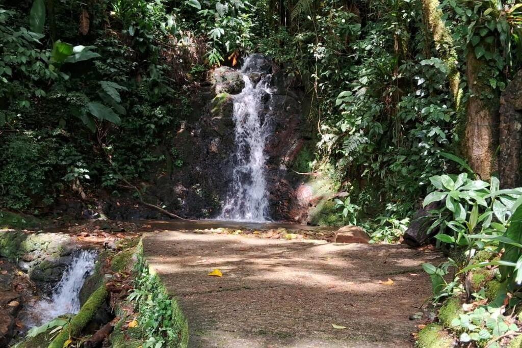 Sitio Som Das Aguas Benedito Novo Bagian luar foto