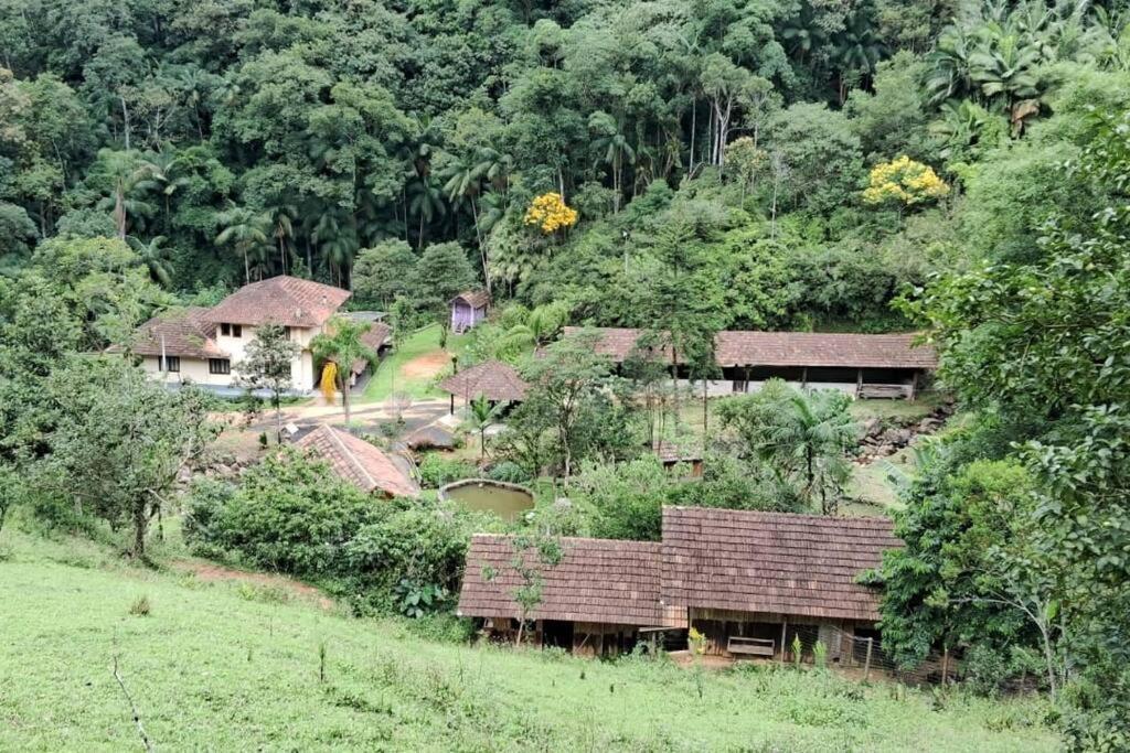 Sitio Som Das Aguas Benedito Novo Bagian luar foto
