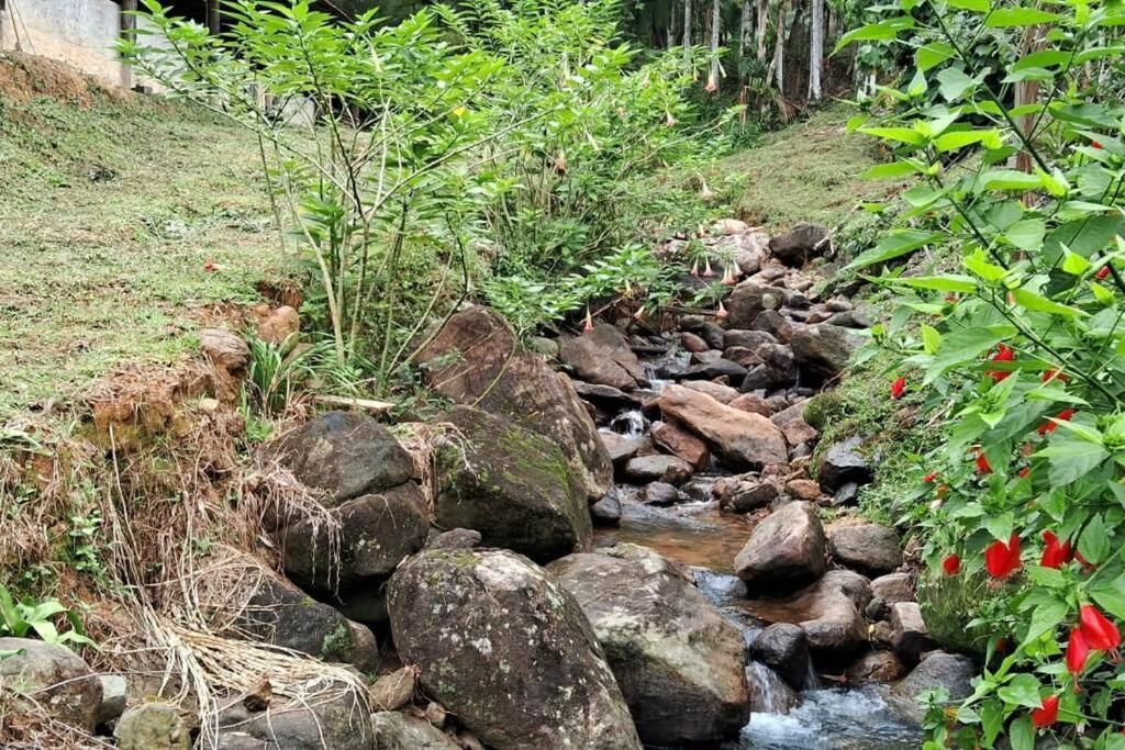 Sitio Som Das Aguas Benedito Novo Bagian luar foto