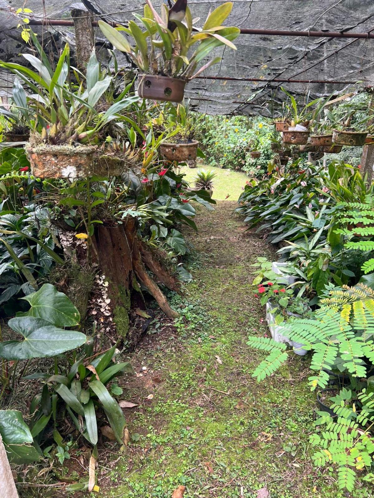 Sitio Som Das Aguas Benedito Novo Bagian luar foto