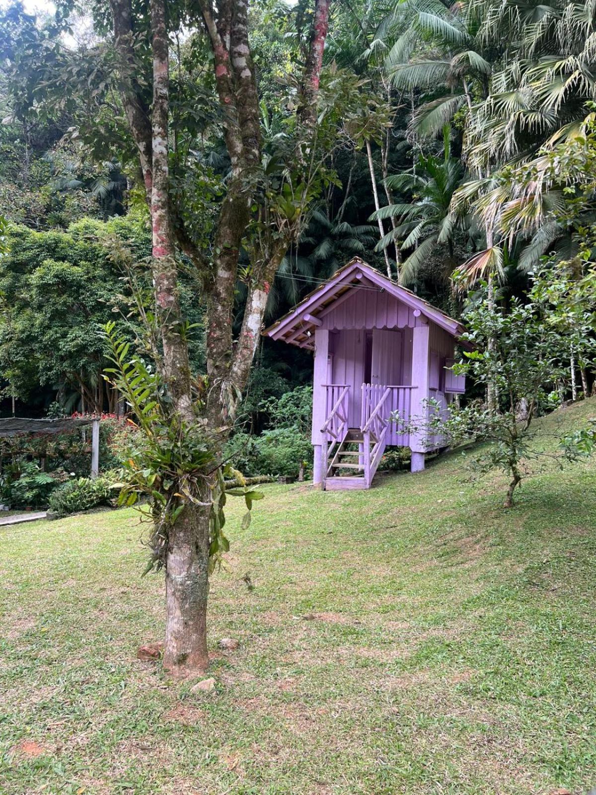Sitio Som Das Aguas Benedito Novo Bagian luar foto