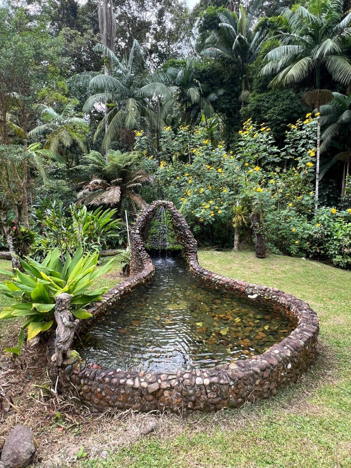 Sitio Som Das Aguas Benedito Novo Bagian luar foto